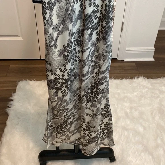 Express Dress - Picture 8 of 10